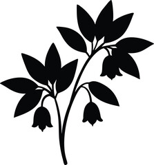 solomon s seal flower silhouette vector on white 