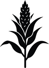 sorghum head silhouette vector on white background 