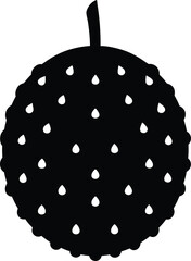 soursop fruit silhouette vector on white 