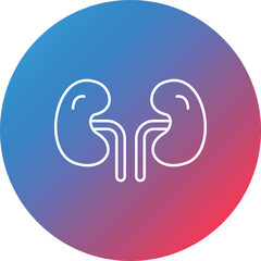 Kidney Line Gradient Circle Background Icon