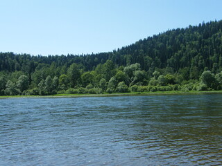 Calm river flows through dense forest under clear blue sky during sunny afternoon