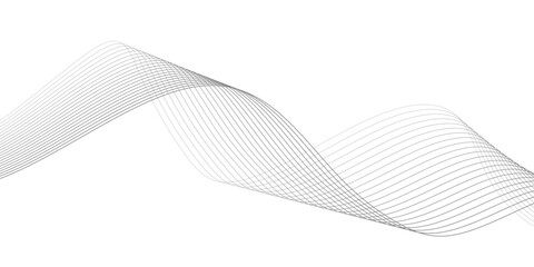 Fototapeta premium abstract Grey wave line background on white background. 
