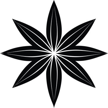 recommend clip art: star anise silhouette vector on white background  .eps