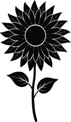 sunflower stalk silhouette vector on white 