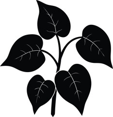 sweet potato vine silhouette vector on white 