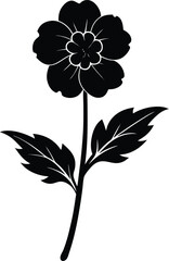 tall cinquefoil flower silhouette vector on white