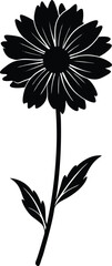 tall coreopsis flower silhouette vector on white