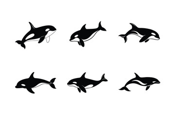 Orca whale silhouette vector  bundle, Orca whale silhouette