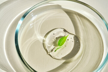 A delicious drop of serum with a leaf in a petri dish.