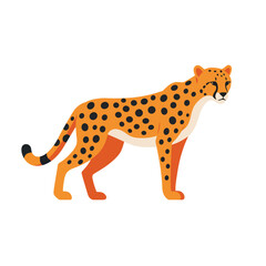 Cheetah Animal isolated flat vector illustration on white background