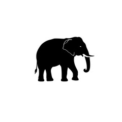 Obraz premium Majestic Elephant Silhouette A Powerful Symbol of Strength, Wisdom, and Nature