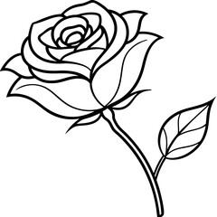 rose vector illustration