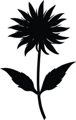 wild bergamot flower silhouette vector on white