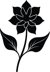 wild ginger flower silhouette vector on white 