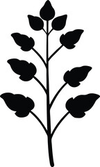 wild ginger stem silhouette vector on white 