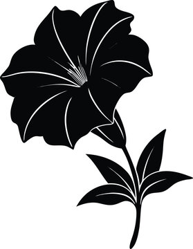 black petunia flower silhouette on white clip art preview