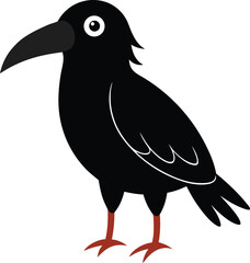 large billed crow silhouette on white background