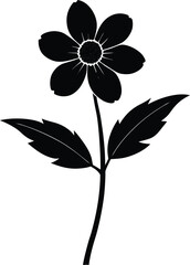 wood anemone stem silhouette vector on white 