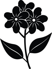 woodland phlox flower silhouette vector on white 