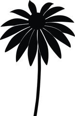 yellow coneflower silhouette vector on white 