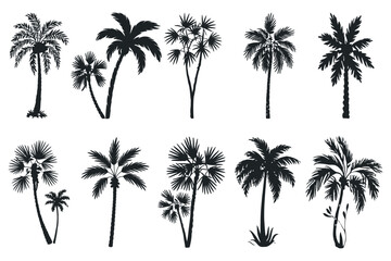  A collection of various palm tree silhouettes in vector form, showing diverse styles and angles, ideal for beach, tropical, and vacation-themed designs.