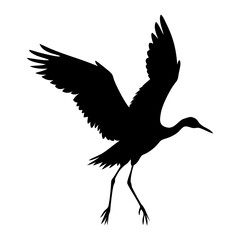 Obraz premium crane bird silhouette image