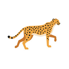 Cheetah Animal isolated flat vector illustration on white background
