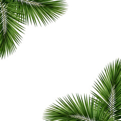 Obraz premium Vibrant green palm leaves in opposite corners on a transparent background