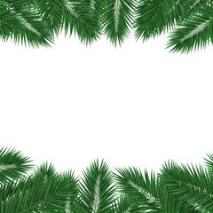 Green palm leaves border on a transparent background
