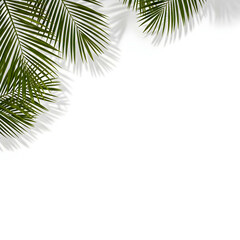 Green palm leaves in the upper left and right corners on a transparent background