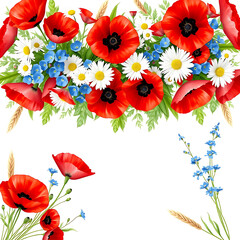 Vibrant Red Poppies and Daisies Floral Border Design