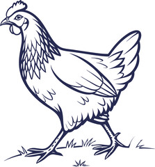 hen and rooster vector