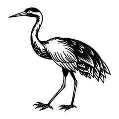 Obraz premium crane bird silhouette design picture
