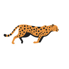 Cheetah Animal isolated flat vector illustration on white background