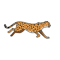 Cheetah Animal isolated flat vector illustration on white background