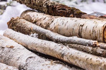 Snow-Covered Birch Logs Arranged Outdoors in Winter