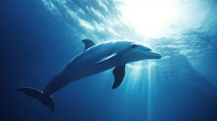 Fototapeta premium Playful dolphin swimming gracefully, vibrant underwater scene, sunlight filtering through waves, perfect for marine conservation themes.