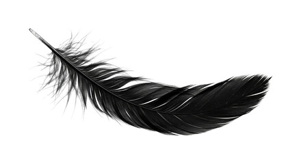 Black Feather Isolated on Black Background Lightness and Elegance Close Up