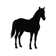 horse from front facing line art silhouette 