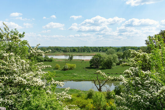 Wandern im idyllischen Oderbruch in Brandenburg, Deutschland im Fr&uuml;hling