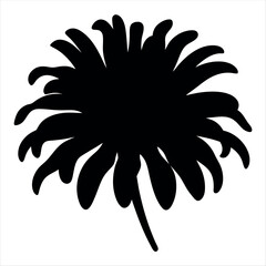 Dramatic Black Silhouette of a Floral Bloom Against White Background
