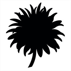 Black silhouette of a tropical palm tree on a white background