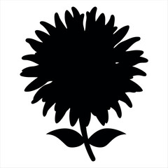 Dramatic Silhouette of a Full Bloom Sunflower Against a White Background