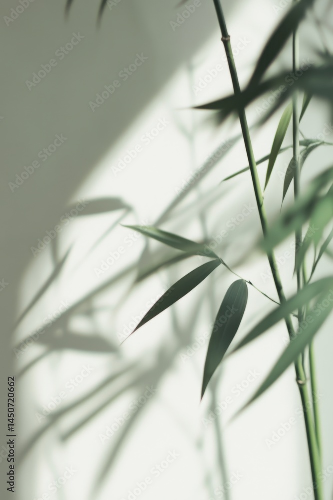 Poster serene bamboo stalks casting soft shadows on a minimalist white wall creating a calming zen atmosphe