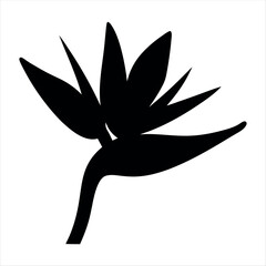 Elegant Black Bird of Paradise Flower Silhouette on White Background Design