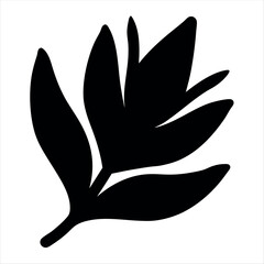 Striking black silhouette of botanical leaves and buds illustration on white