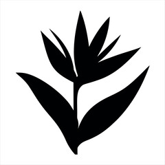 Monochrome Bird of Paradise Flower Illustration with Simple and Clean Design