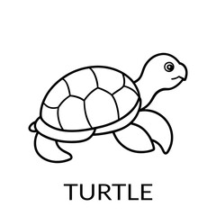 Turtle Line Art Vector Illustration for Nature Animal and Minimalist Designs