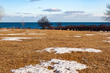 Snowy Field with Geese by a Calm Blue Ocean in Winter