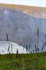 Majestic Waterfall in Icelandic Landscape With Grass and Mist